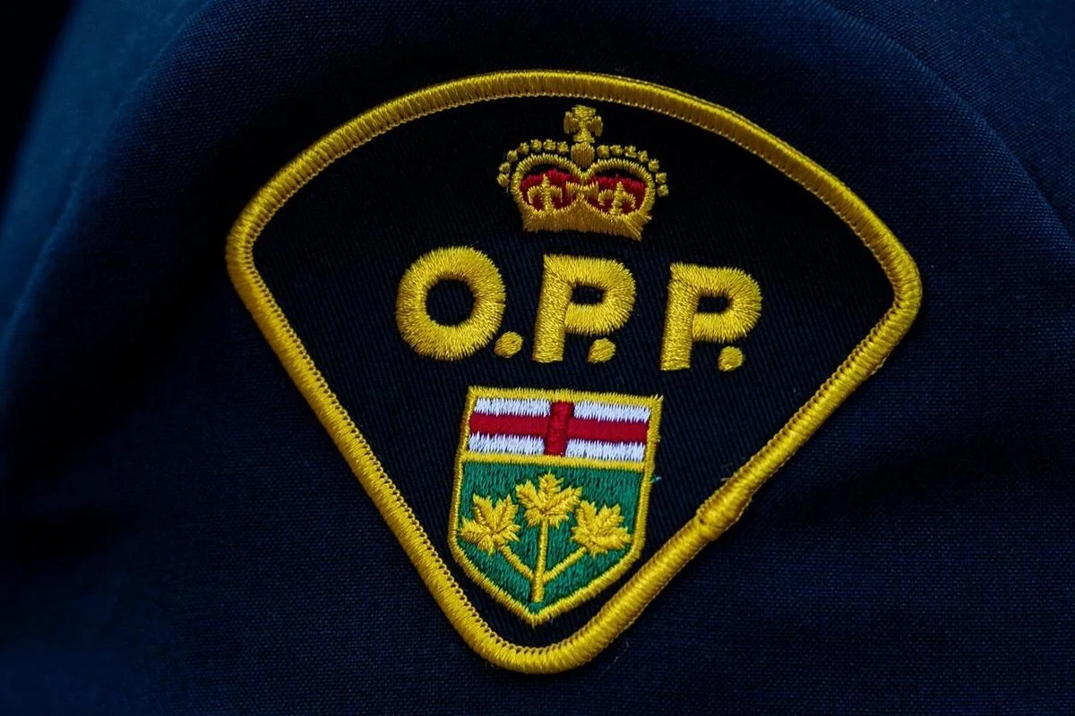 OPP Seeks Public Help in North Perth Theft Investigation