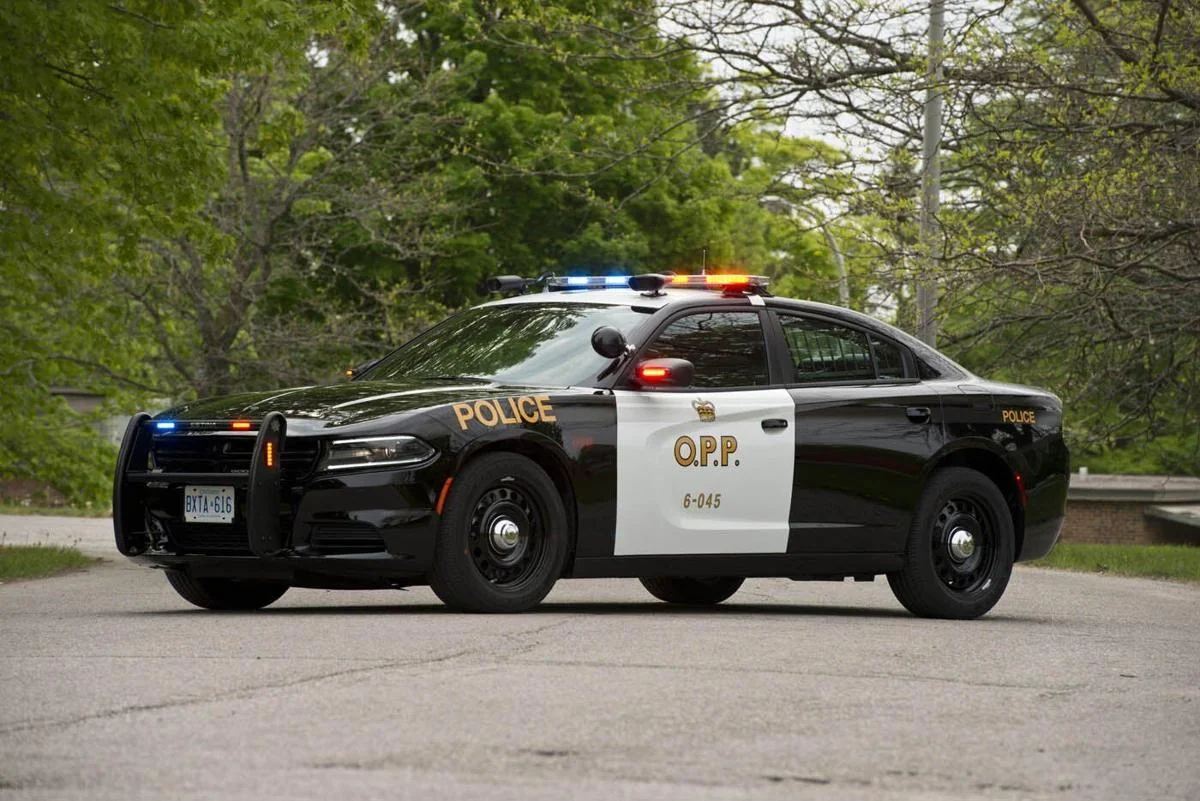 Huron East Woman Charged After Disturbance and Assault Incident