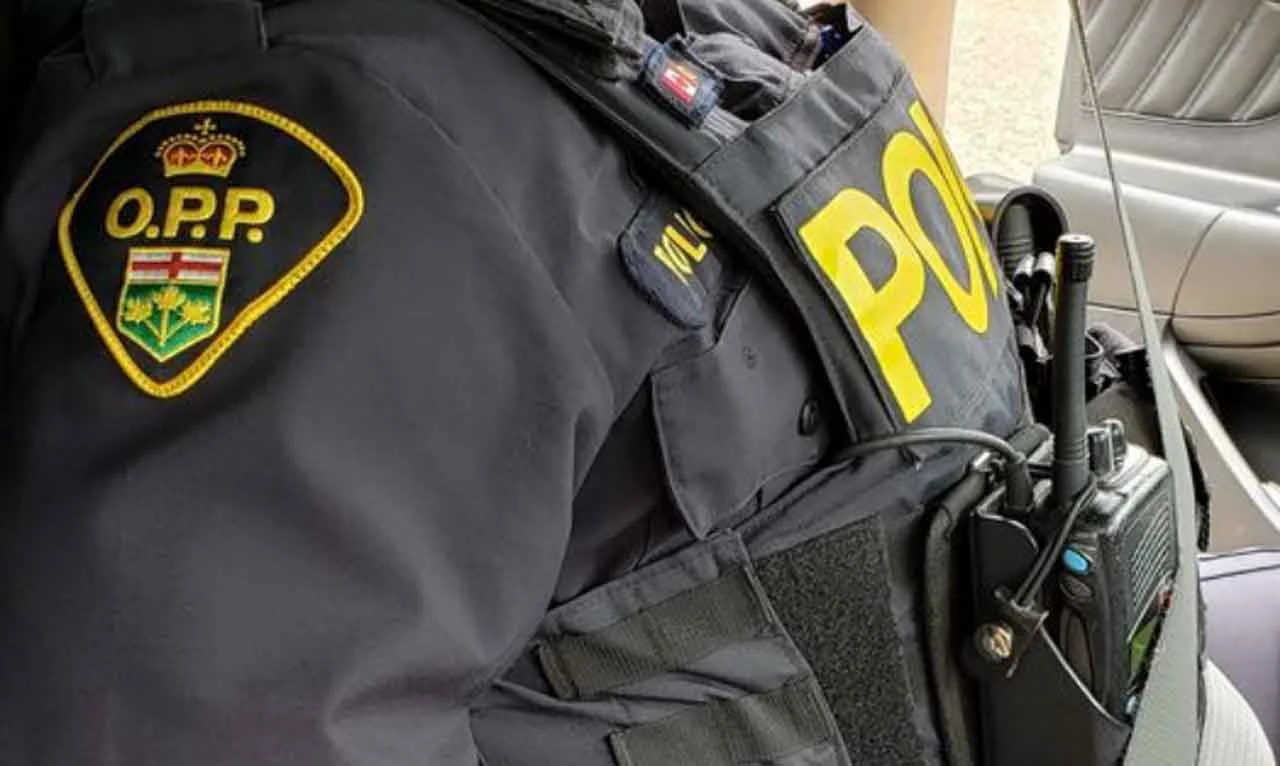 Local Youth Charged with Mischief in Mount Forest After Late-Night Vandalisms
